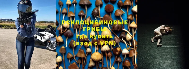 Галлюциногенные грибы Cubensis  ссылка на мегу рабочий сайт  Коряжма  где можно купить наркотик 